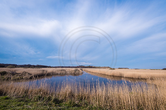 _DSC7460