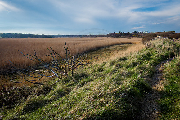 _DSC7502