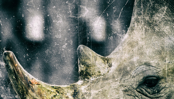 Distressed species