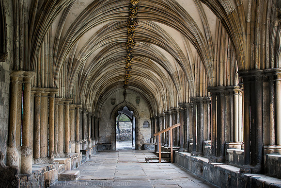 Norwich Cathedral
