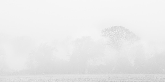 _DSC5647
