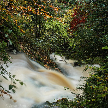 DSC_2902