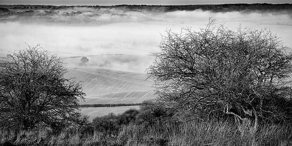 _DSC5659-Edit