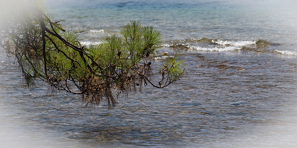 Turunc Turkey (37 of 69)