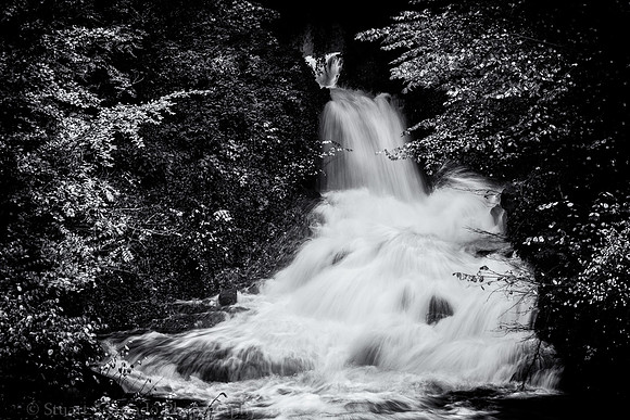 DSC_2887-Edit