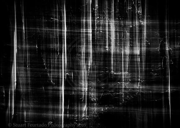 Treeline