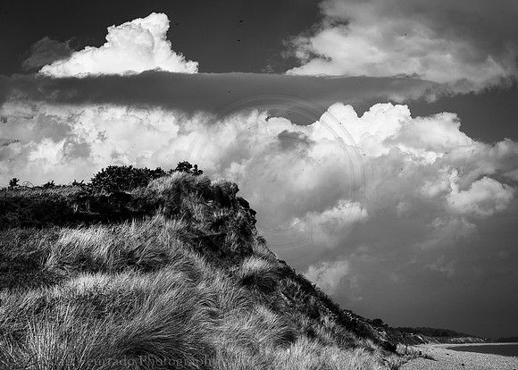 _DSC7398-Edit