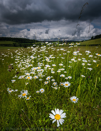 _DSC0214
