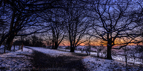 Cop Hill paths
