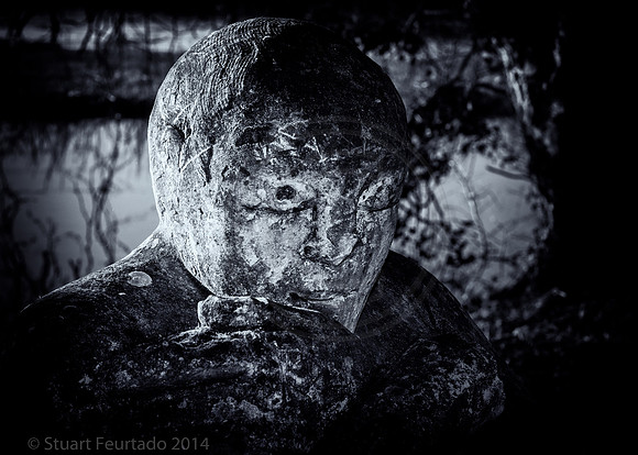 Stone face