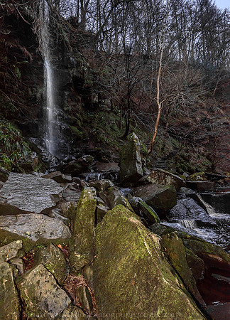 Mallyn Spout