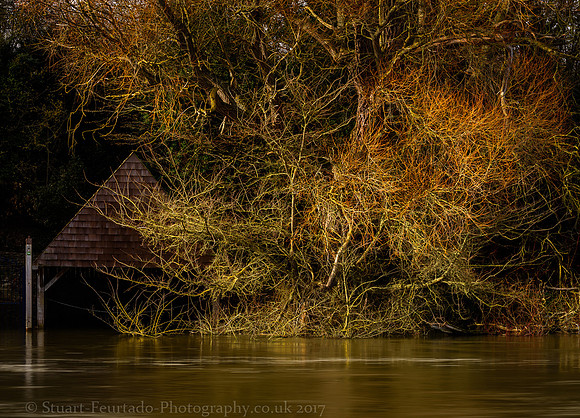 hidden boathouse
