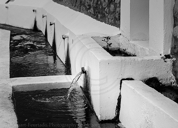 _DSC7492