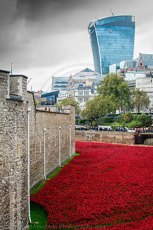 Tower of London WW1 Memorial 20