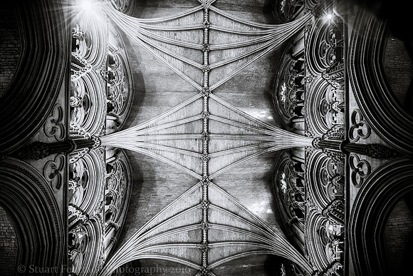 _DSC5652-Edit