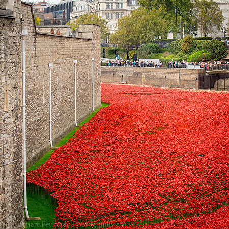 Tower of London WW1 Memorial 19