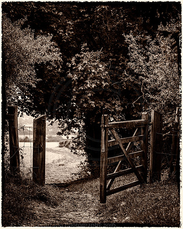 _DSC3281-Edit