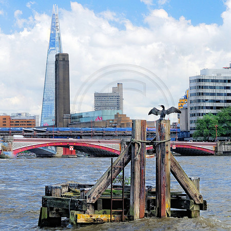 The Shard 6