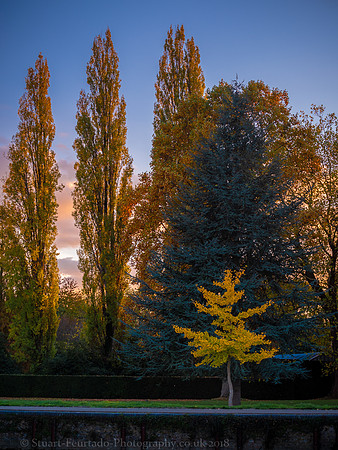 _DSC4769