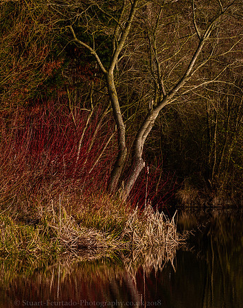 _DSC6042
