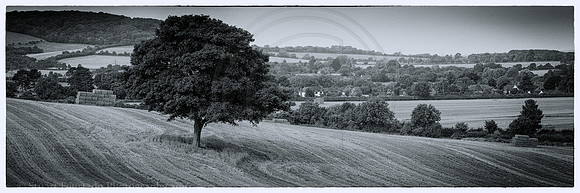 Purtle Springs pano 1-Edit