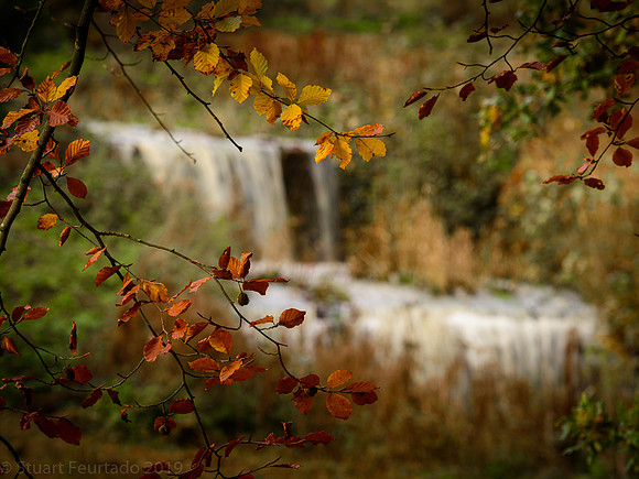 Autumn cascade 2