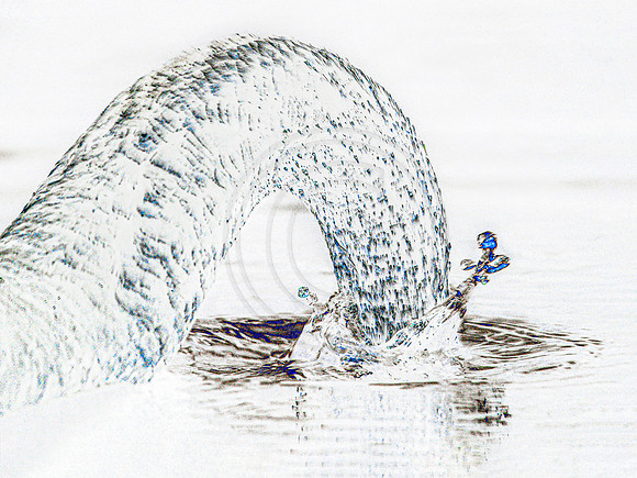 Swandive
