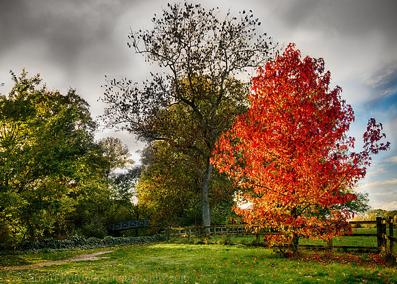 _DSC4002_HDR