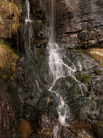 Thornton Force side show