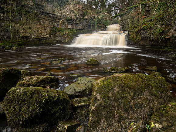 Cotter Force (2)