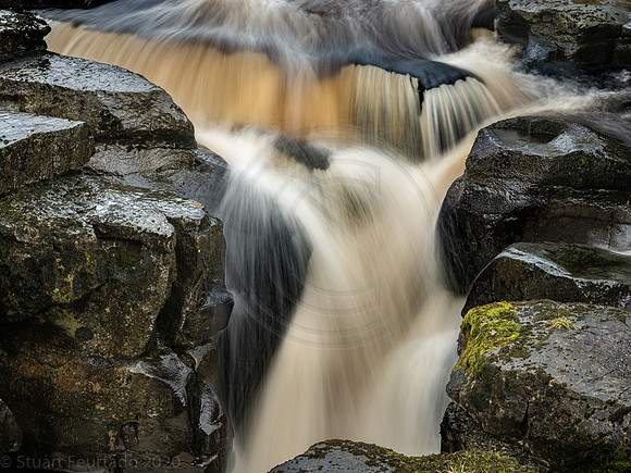 Cotter Force detail