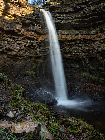 Hardraw Force (2)