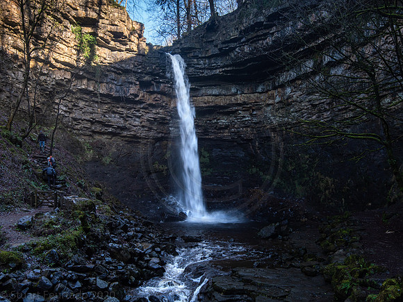 Hardraw Force