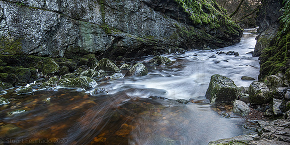 River Twiss (2)