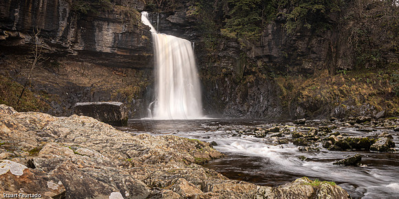 Thornton Force