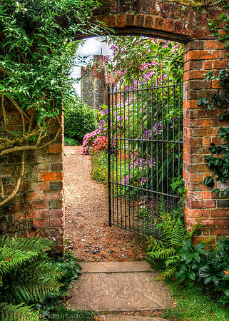 Greys Court (32)