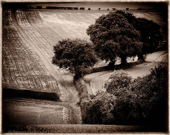 _DSC3257-Edit