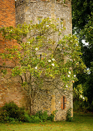 Greys Court (62)