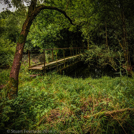 _DSC4795HDR