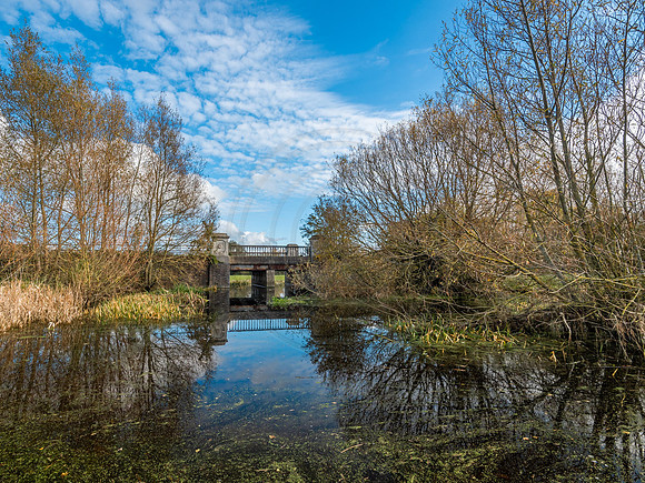 River Thame flood