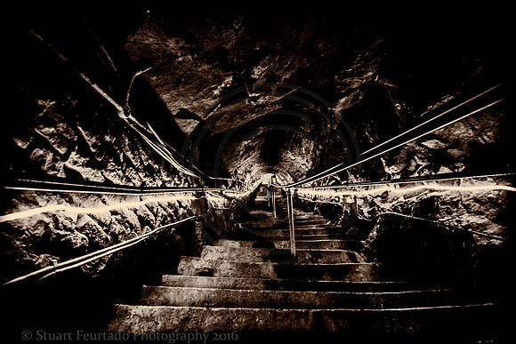 _DSC5556-Edit
