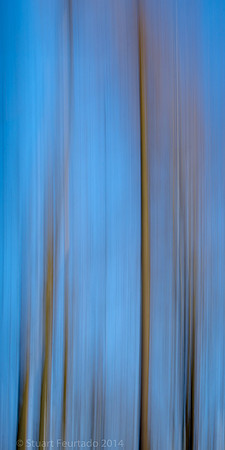 Reach for the sky