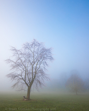 _DSC9701-Edit