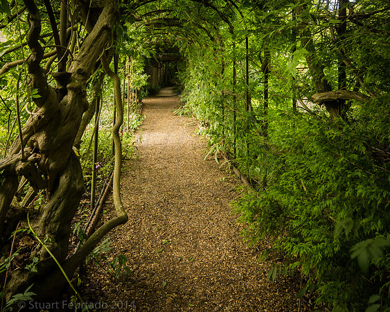 Greys Court (26)