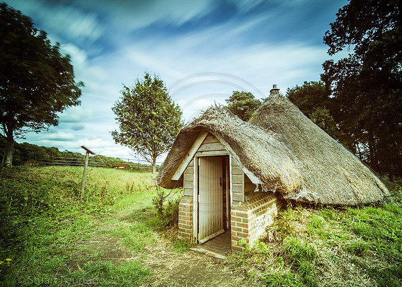 Greys Court (39)