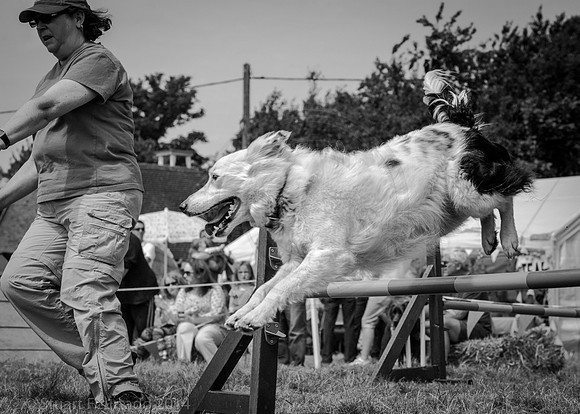Bledlow dog show