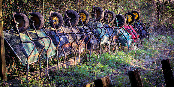 Western Turville reservoir  (22 of 43)