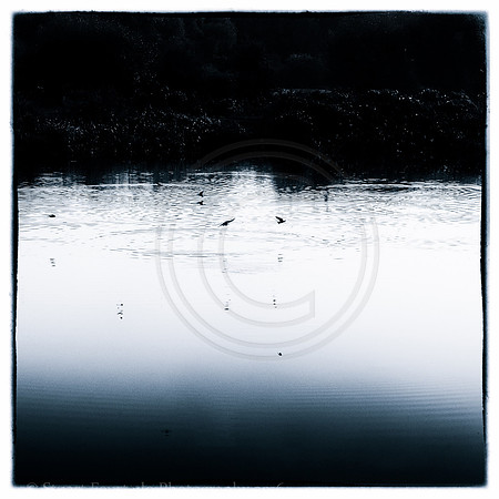 _DSC2513-Edit
