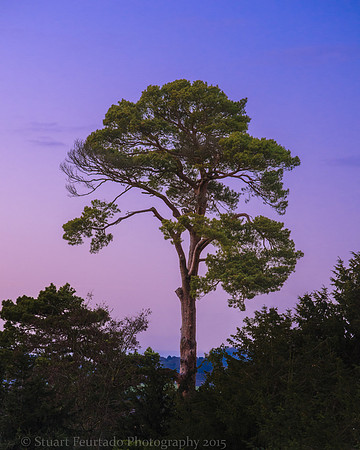 _DSC5474-Edit-Edit-Edit-2