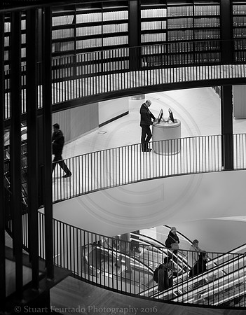 _DSC5384-Edit